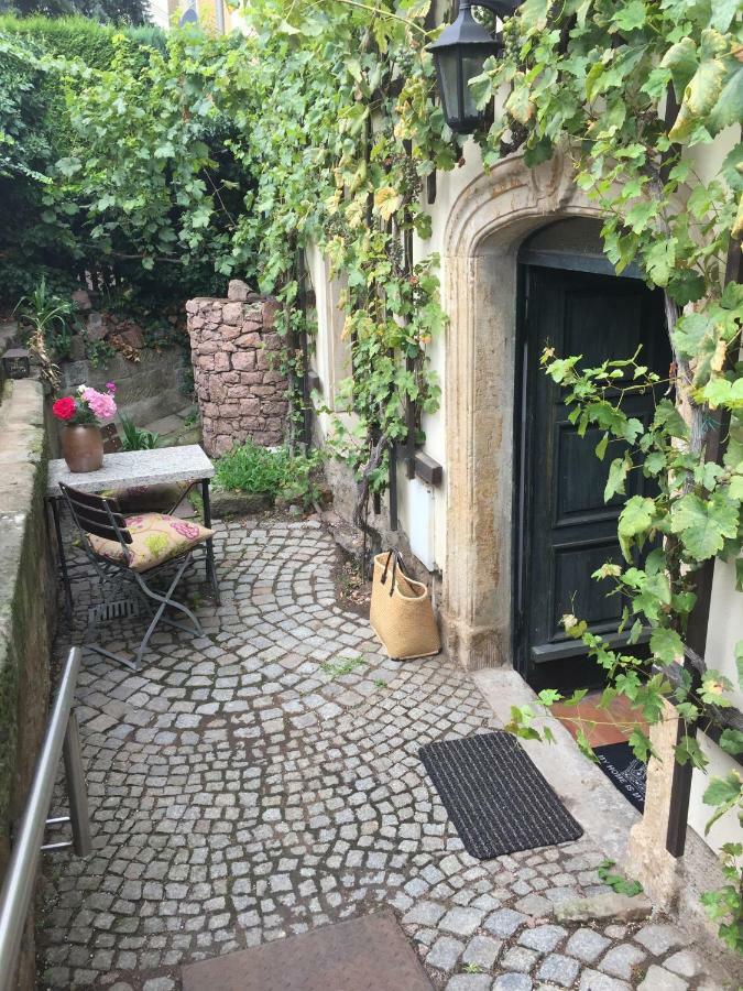 Ferienwohnung Am Weinberg Meissen Extérieur photo